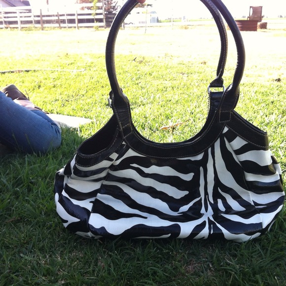 👛zebra purse👛 - Picture 1 of 3