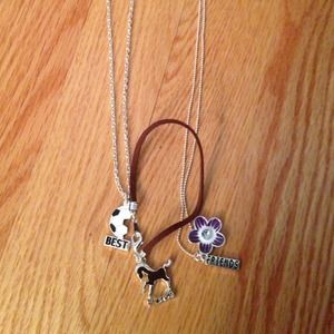 Beautiful necklaces (bundle!!)