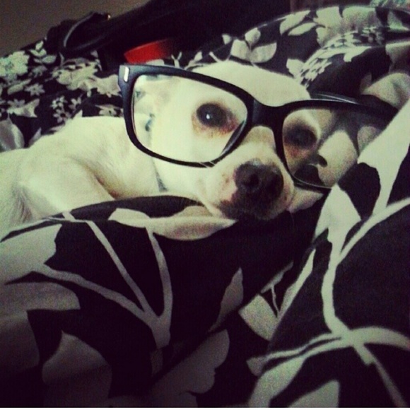 Hello Posh Friends :) - Picture 3 of 3