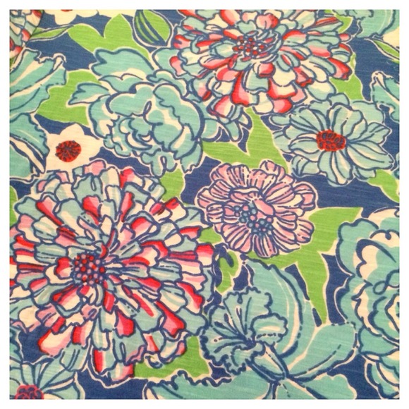 Lilly Pulitzer Somerset Dress - sold in bundle - Picture 3 of 4