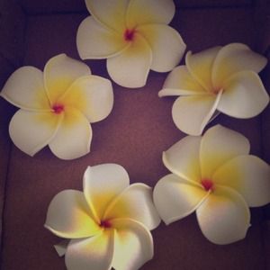 Plumeria hair clips ~set of 5~