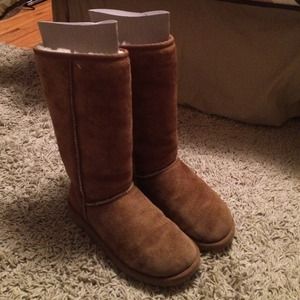 Tall chestnut classic UGGs