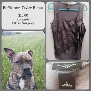 Any Taylor Ruffle Top