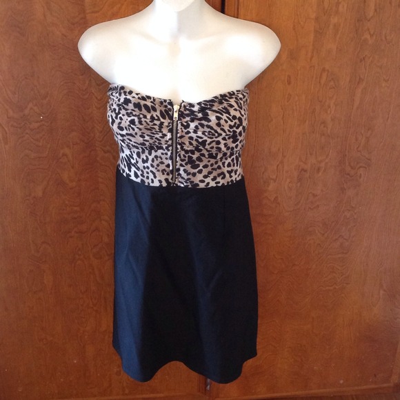 Leopard and Black Dress