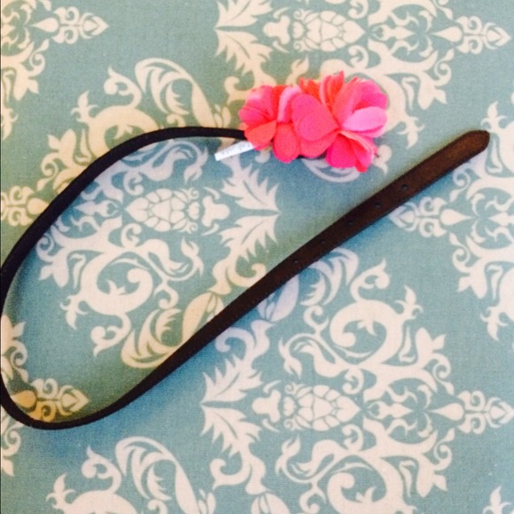 Hollister Belt