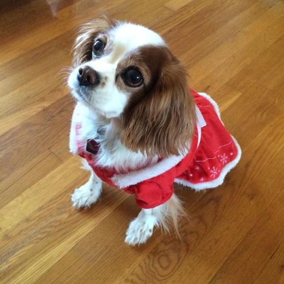 Meet your Posher! - Picture 2 of 3