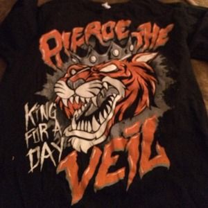 Pierce the Veil Band T-Shirt Band Merch (M)