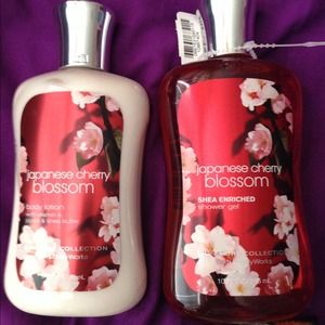 Bath and body works lotion and body wash