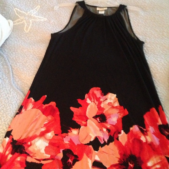 Adore swing style dress