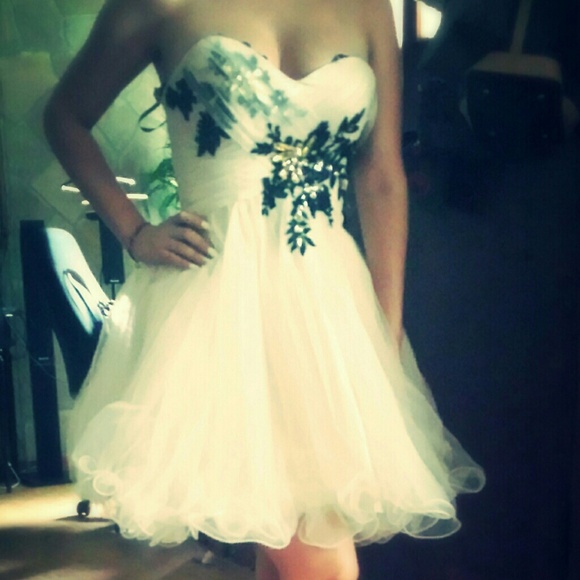 beige bee darling dress