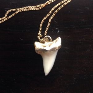 Shark Tooth