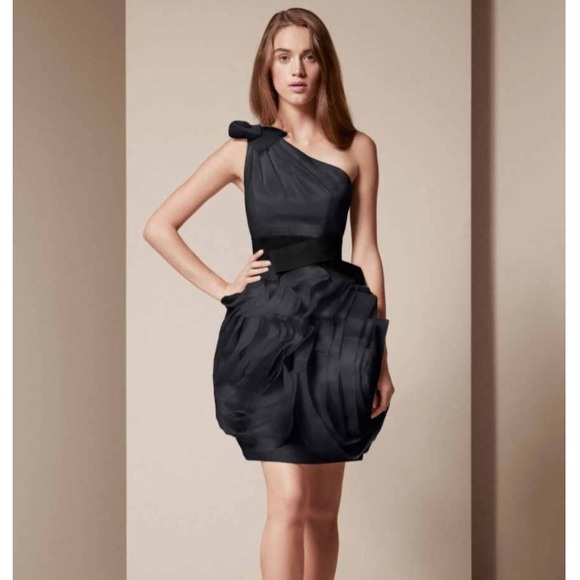 Vera Wang Organza Dress with Black Belt