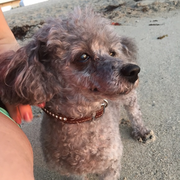 💕Meet your seller!!💕 - Picture 3 of 3