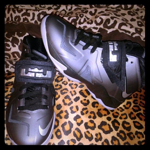 LeBron James Shoes
