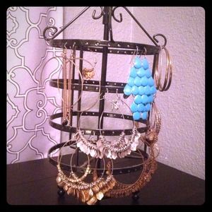 Earrings carousel/holder