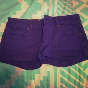 Bullhead Black Purple Shorts