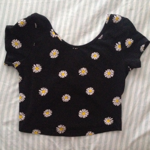 Daisy crop too