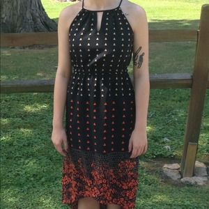 The Limited HiLow Dress