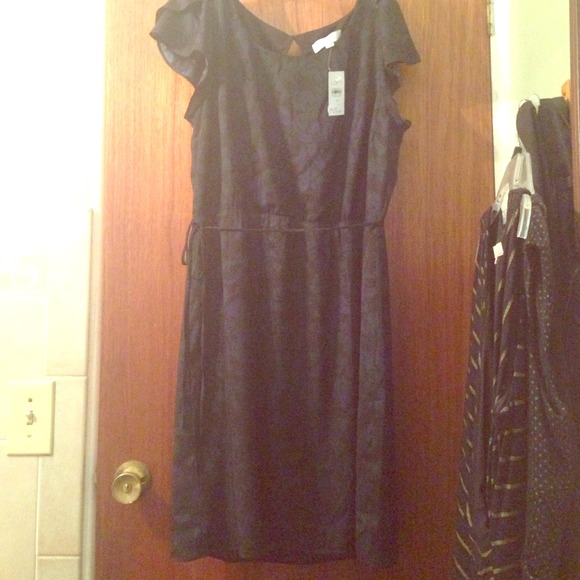 Loft old vanity dress