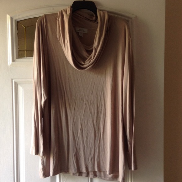 A cream color turtle neck size 2X