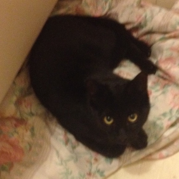 Meet the seller! 💁 - Picture 3 of 3