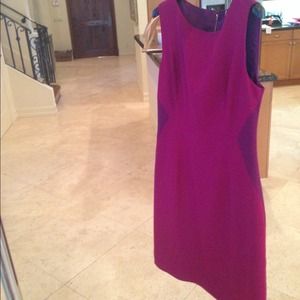 Tahari Size 6 dress, color is magenta