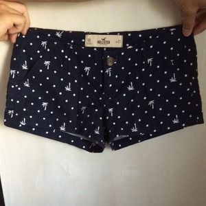 Hollister Palm Tree Shorts!🌴💙