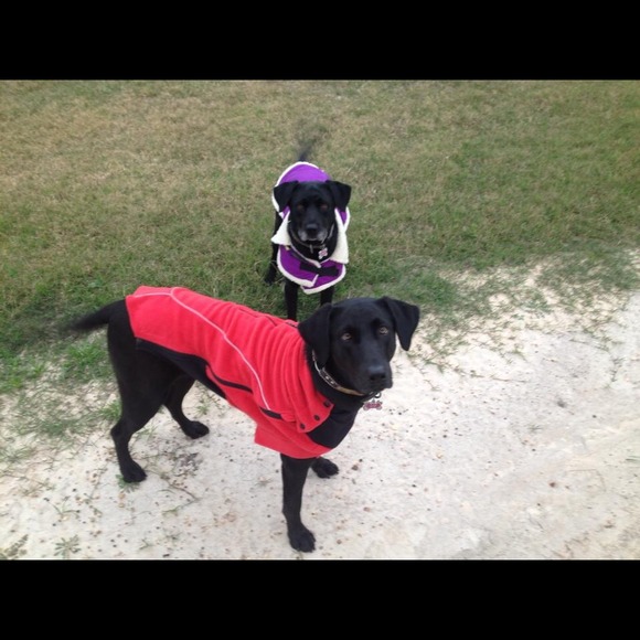 MEET YOUR SELLER - Picture 2 of 4