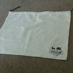 Medium sized coach bag