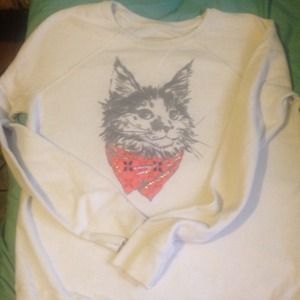 🌸REDUCED🌸Hollister embellished cat sweater