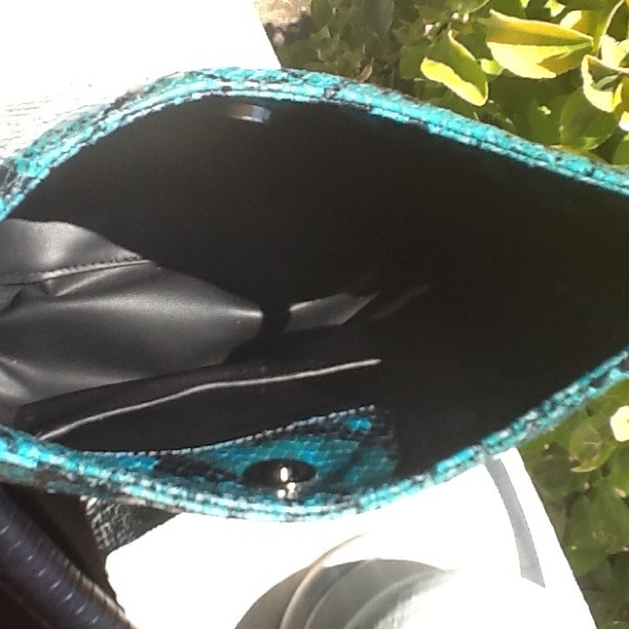 Teal & Black Python - Picture 3 of 3