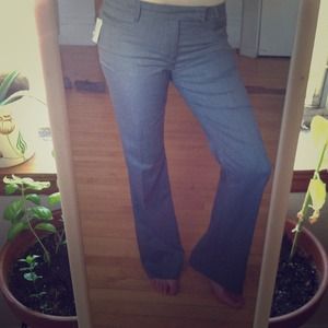 GAP Modern Boot grey pants size 6R BRAND NEW!