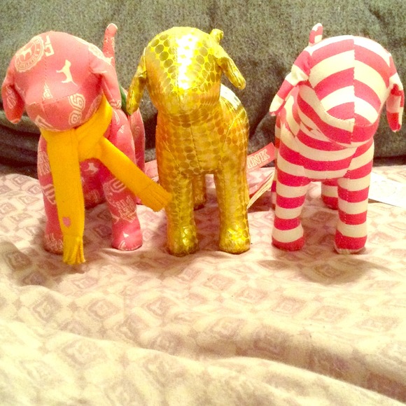 3 Victoria's Secret dogs! 💖