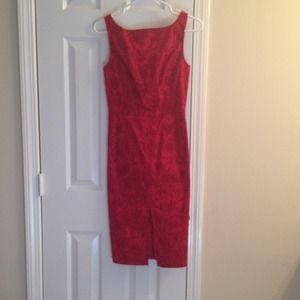 Express Stretch Shift Dress