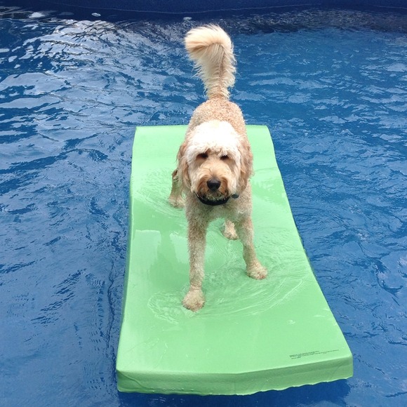 💜 - Picture 16 of 16