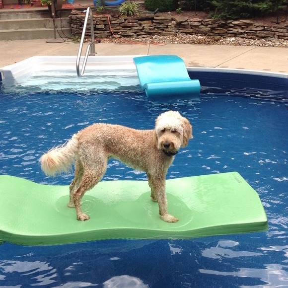 💜 - Picture 15 of 16