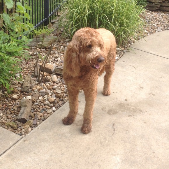 💜 - Picture 14 of 16