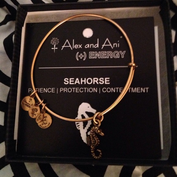 Seahorse Alex and ani