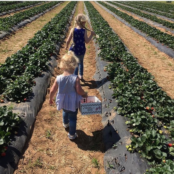 BABY/TODDLER/KIDS ITEMS! - Picture 3 of 3