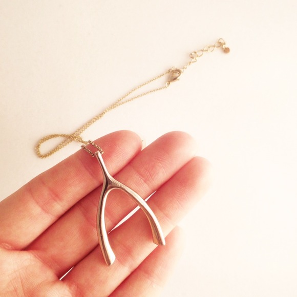 Jewelry - Gold Wishbone Necklace
