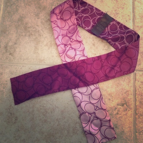 Silk Coach Scarf in Plum