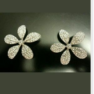Crystal daisy earnings