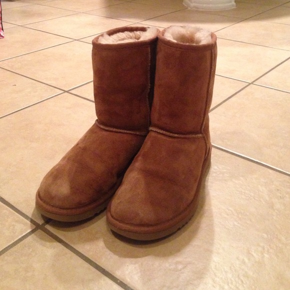Short Chestnut Ugg Boots