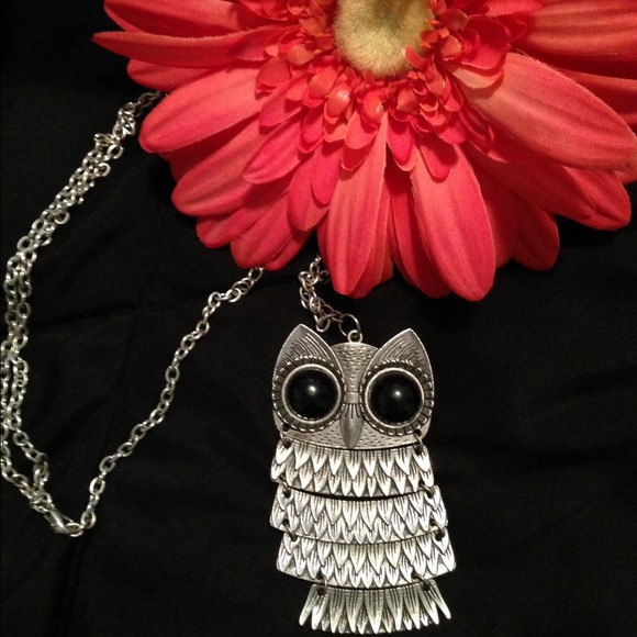💕Cute and fun owl necklace - great condition!!