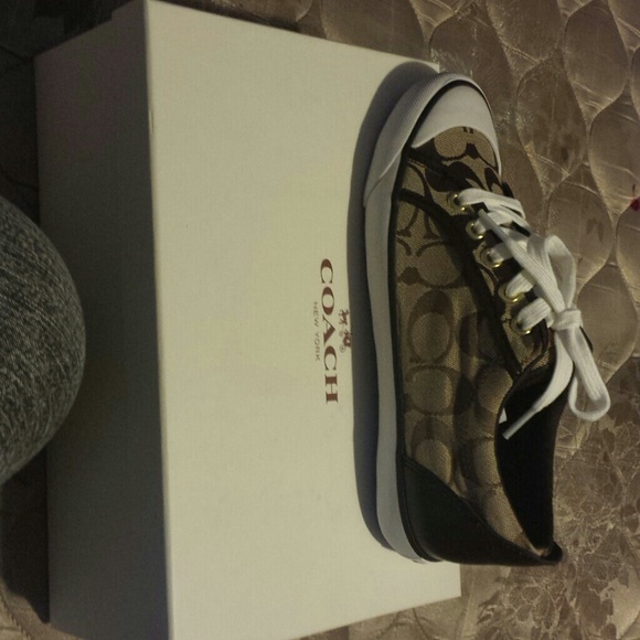 Out the box brand new coach shoes
