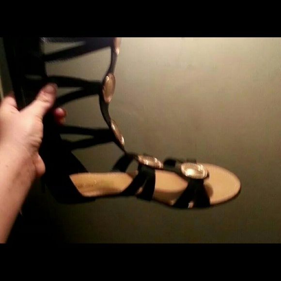 Gladiators - Picture 2 of 2