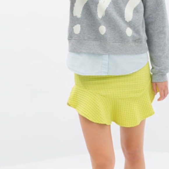 Zara Frilly Skirt!