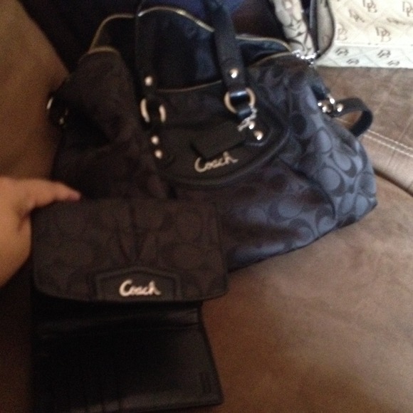 Coach - Picture 4 of 4