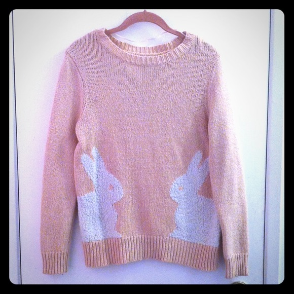 Light pink bunny sweater.