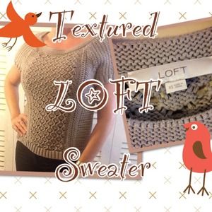 🌹Lovely Taupe Textured Sweater from LOFT🌹